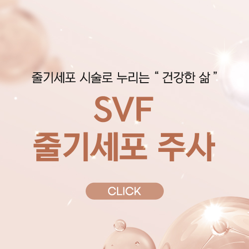 SVF줄기세포